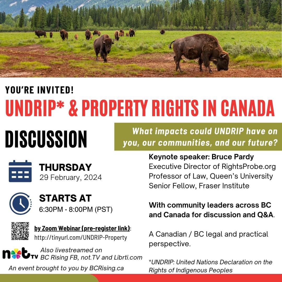 UNDRIP & Property Rights in Canada